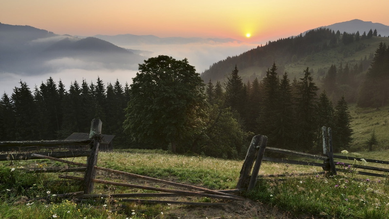 mountain Range, grass, woodland, beauty In Nature, wood - Material, plant, fog, hill, italy, mountain Peak, 1080P, cloud - Sky, scenics - nature, sunrise - Dawn