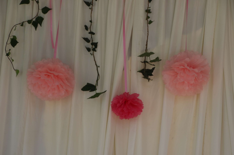 freshness, garden, decoration, nature, white, 4K, close-up, stalk tea, indoors, leaves, plant stem, ivy, girly, pink color, ball, curtain, plant, flowering plant