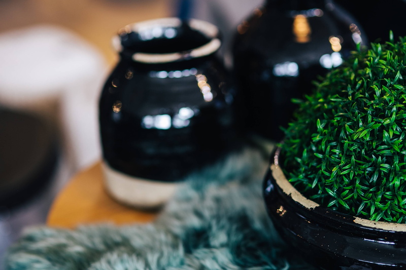 growth, indoors, green color, day, jar, gardening, nature, aromatherapy, food and drink, black color, tea leaves, pot, cultures, care, ingredient, scented
