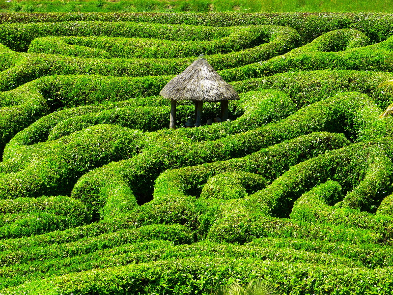 middle, foliage, asia, united kingdom, south gland, garden, land, ornamental garden, tranquility, agriculture, bush, brown, formal garden, maze, no people