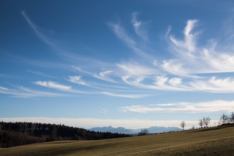 tree, environment, upper bavaria, field, scenics - nature, clouds, cloud, day, idyllic, tranquil scene, forest, Landscape, beauty in nature, trees, Mountains