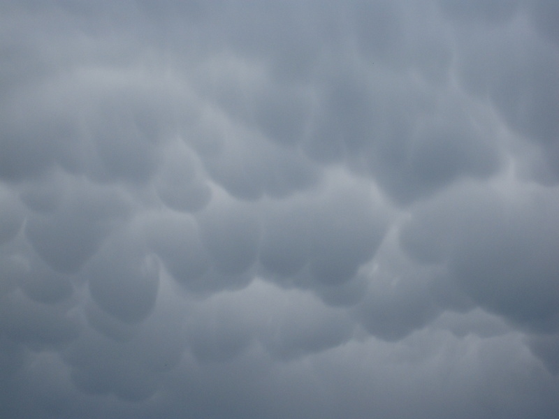 background, meteorology, storm, storm cloud, backgrounds, overcast, puffy, 2K, white, cloud - sky, beauty in nature, abstract backgrounds, cumulus, abstract