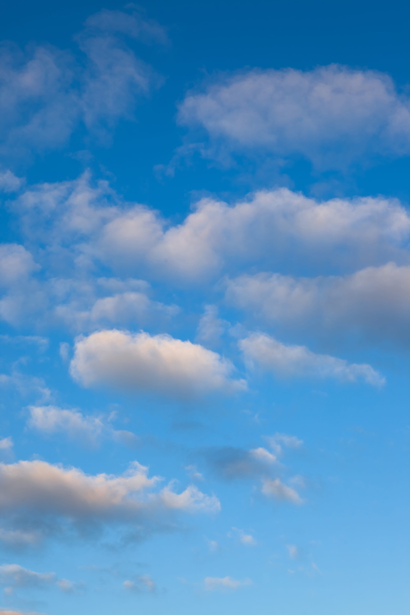 fleecy, peace, overcast, outdoors, environment, fluffy, cloud - sky, cloudscape, no people, backgrounds, background, sky, meteorology, low angle view, lots