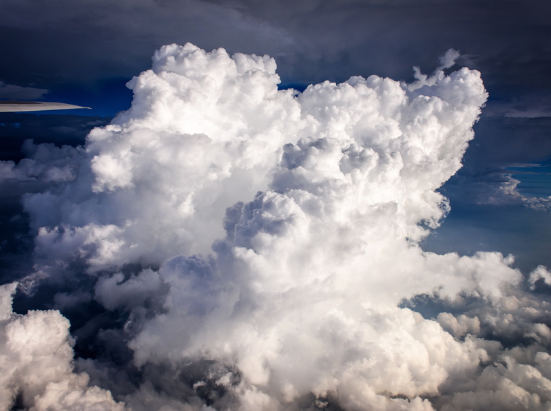blue, CumulusCongestus, cloudscape, sky, cloud - sky, Nature, Sun and Sky, fluffy, low angle view, Cumulus, dramatic sky, white color, softness, meteorology