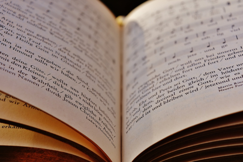 two objects, old, read, studio shot, pressure, literature, shadow, wisdom, browse, pitched, no people, absence, close-up, 5K, bound, scroll to, selective focus
