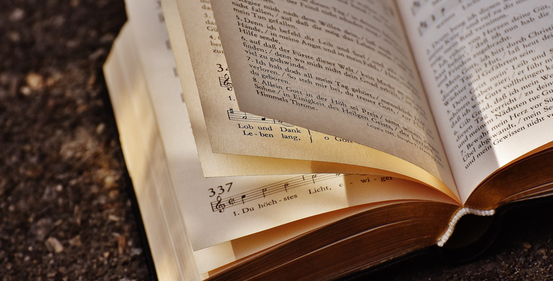 wisdom, 5K, scrolled, bound, page, read, still life, paper, text, no people, spirituality, western script, publication, book pages, communication, old