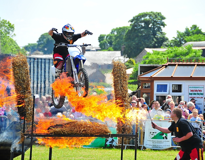 day, riding, leisure activity, bike, sport, nature, tree, rider, dangerous, outdoors, stunt, 2K, mid-air, plant, helmet, lifestyles, moto, motion, headwear