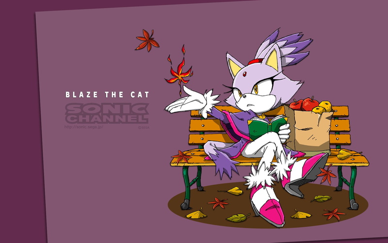 1080P, Blaze The Cat, Sonic the Hedgehog, Sonic