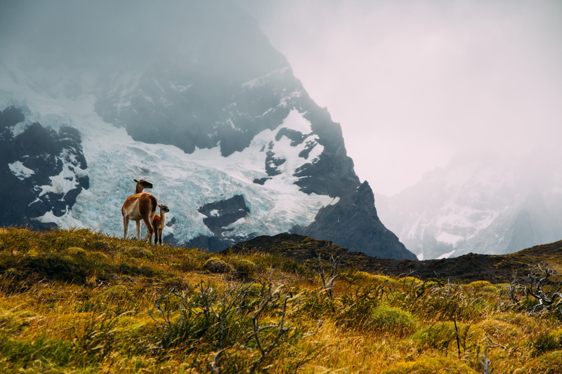 chile, mountain, hiking, sky, scenics - nature, fog, activity, beauty in nature, snow, paine, adventure, snowcapped mountain, torres del paine national park