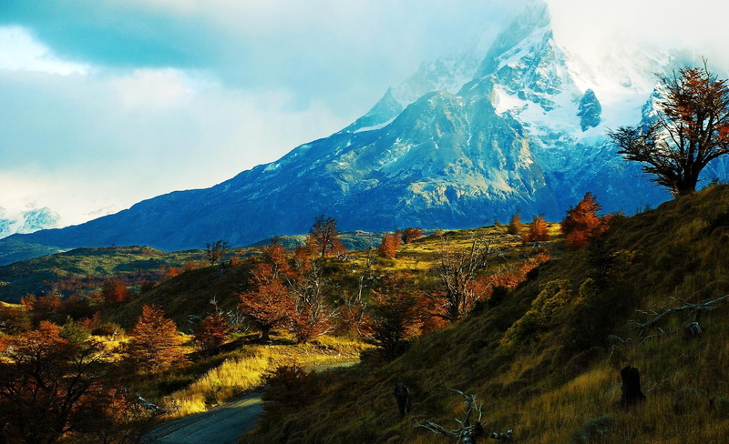 forest, snowy, south, 1080P, earth, nature and landscapes, torres del paine, landscapes, clouds, side, chile