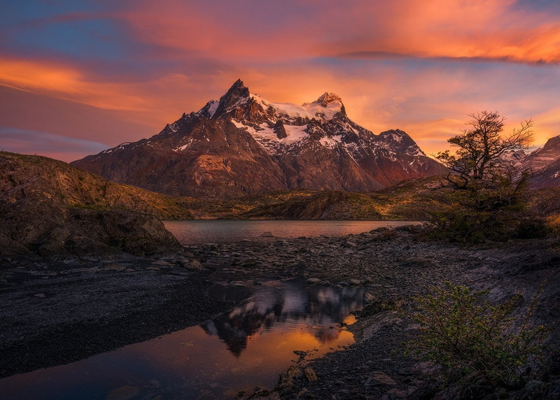 landscape, snowy peak, Patagonia, shrubs, morning, nature, trees, mountains, 720P, Chile, Torres del Paine, lake, clouds