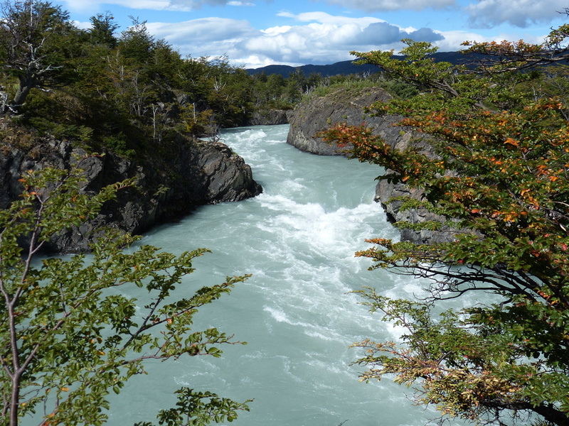 patagonia, nature, power in nature, outdoors, south america, flowing water, day, tree, unesco, environment, land, mountains, chile, national park, landscape