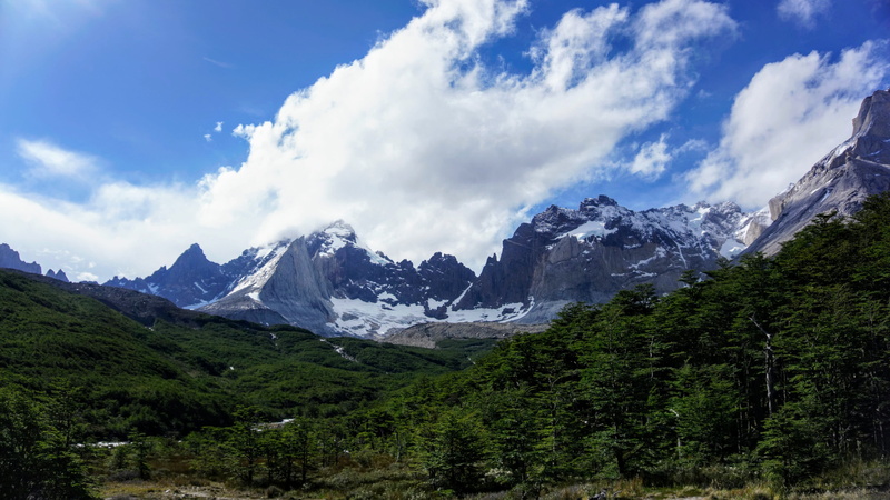 snowcapped mountain, snow, torres del paine national park, tranquil scene, mountain, landscape, mirador britanico, mountain peak, tree, chile, scenics - nature