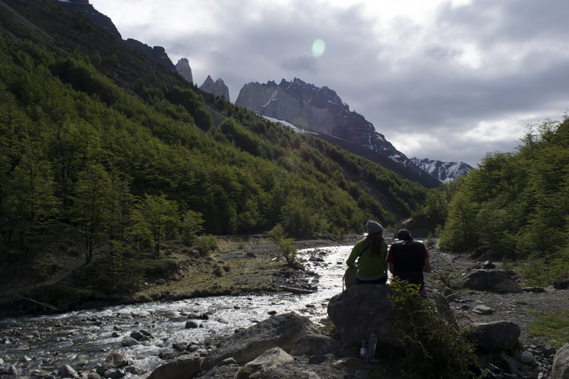 rock - object, beauty in nature, nature, tranquility, mountain, day, 5K, tree, trees, river, plant, flowing water, tranquil scene, torres del paine, land
