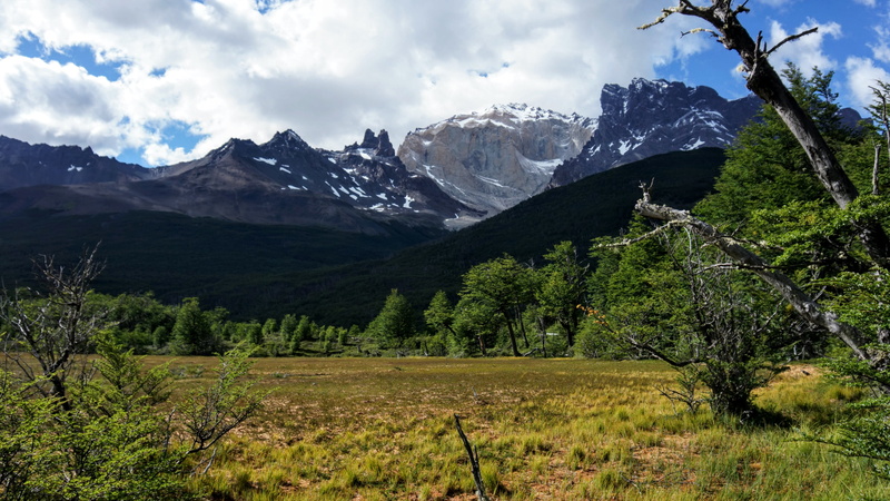 environment, tranquility, patagonia, snowcapped mountain, mountains, cloud - sky, torres del paine national park, growth, landscape, mirador, tranquil scene