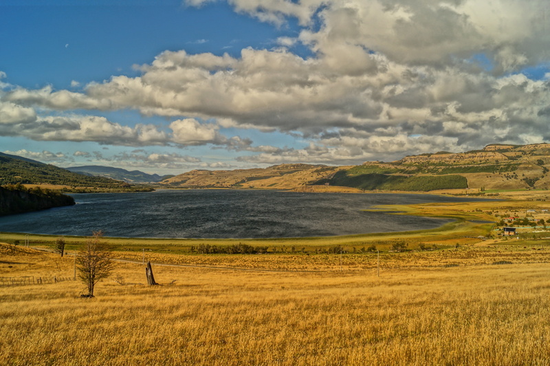 field, 4K, grass, day, patagonia, land, scenics - nature, non-urban scene, no people, chilean patagonia, nature, animal, plant, tranquility, animal themes