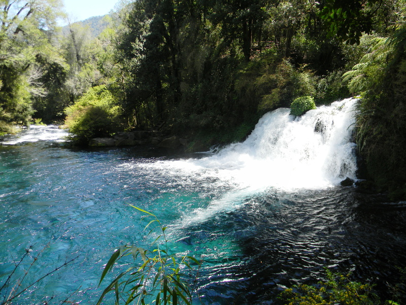 chilean, flowing water, chile, tree, nature, outdoors, growth, water, flowing, outdoor, andes, patagonia, waterfall, non-urban scene, green color, day