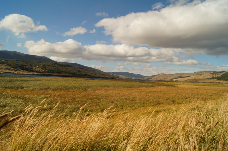 mountain, cloud - sky, tranquil scene, landscape, chilean patagonia, 4K, growth, patagonia, tranquility, grass, scenics - nature, beauty in nature, day