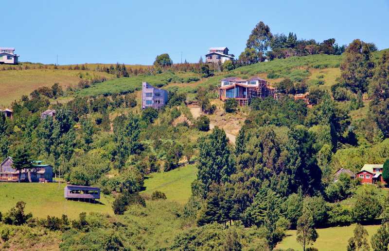 day, castro, plant, growth, clear sky, scenics - nature, landscape, built structure, sky, architecture, land, beauty in nature, chile, tree, south america