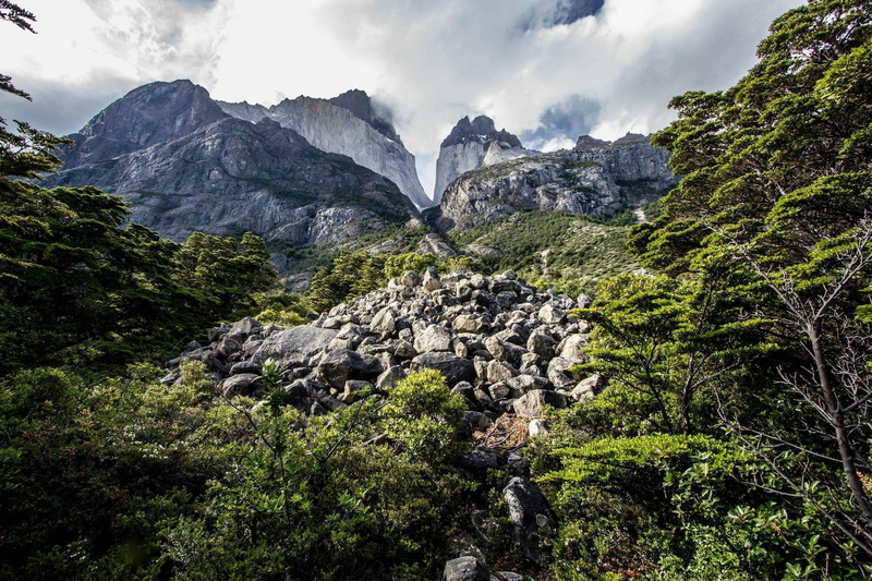 nature and landscapes, forest, del, 1080P, chile, paine, cuernos, cool, mountains, nature, patagonia