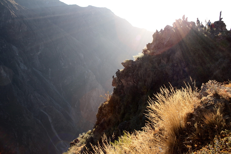 nature, no people, 4K, non-urban scene, lens flare, colca canyon, tranquil scene, condor, plant, sunbeam, fog, scenics - nature, mountain, canyon, rock