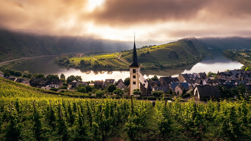mosel, Misty Morning, 4K, vineyard, church, trier