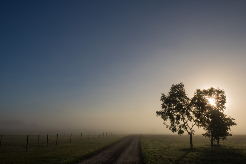 s18, tree, iso_speed, near, aperture, mm, fence, meadow, landscape, sunrise, exif, dimma, ef, ƒ / 14, road, morning, fog, state, f/3.5, 760d, camera, canon