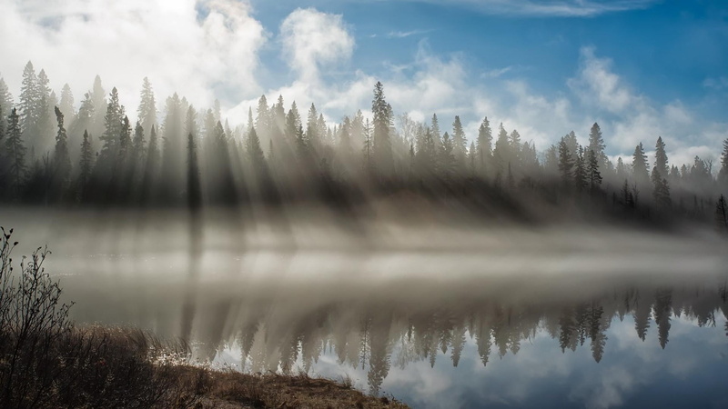1080P, morning, day, idyllic, foggy, phenomenon, lake, no people, reflection, non-urban scene, sky, atmosphere, rays, reflection lake, pine woodland, sunray