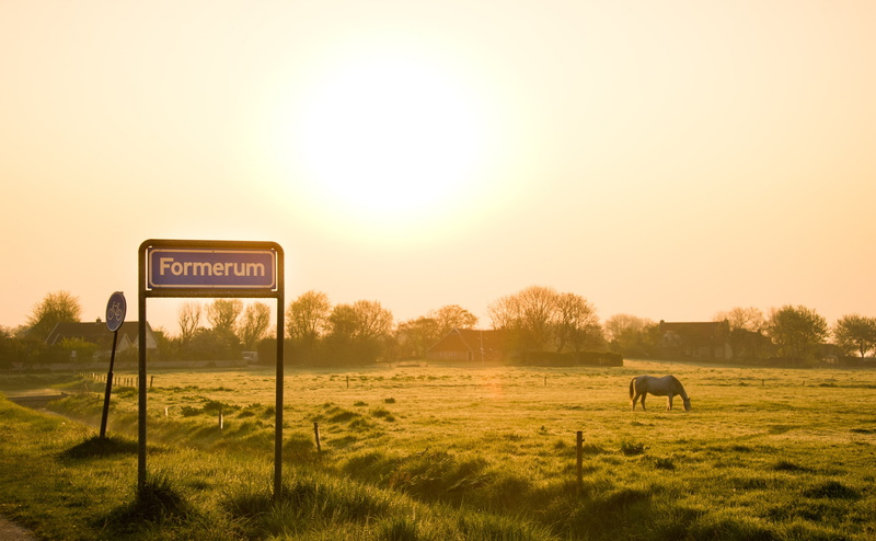 Misty, Foggy, Sunrise, Hazy, agriculture, sky, no people, formerum, Nature, white, plant, copy space, Field, livestock, Morning, Countryside, sunset, landscape