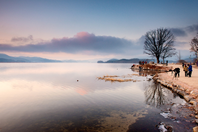 outdoors, plant, water, winter, north han river, reflection, sunrise, tranquility, beauty in nature, two water head, yangpyeong, misty morning, bare tree