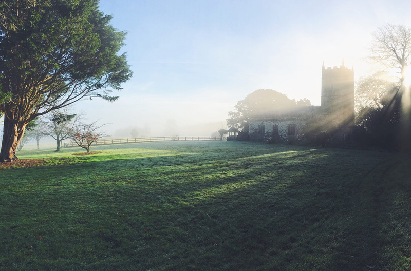 sunrise, sunray, morning, sunbeam, greatbritain, field, growth, misty, countryside, sun, rural, day, park, plant, mist, buckland house, tree, park - man made space