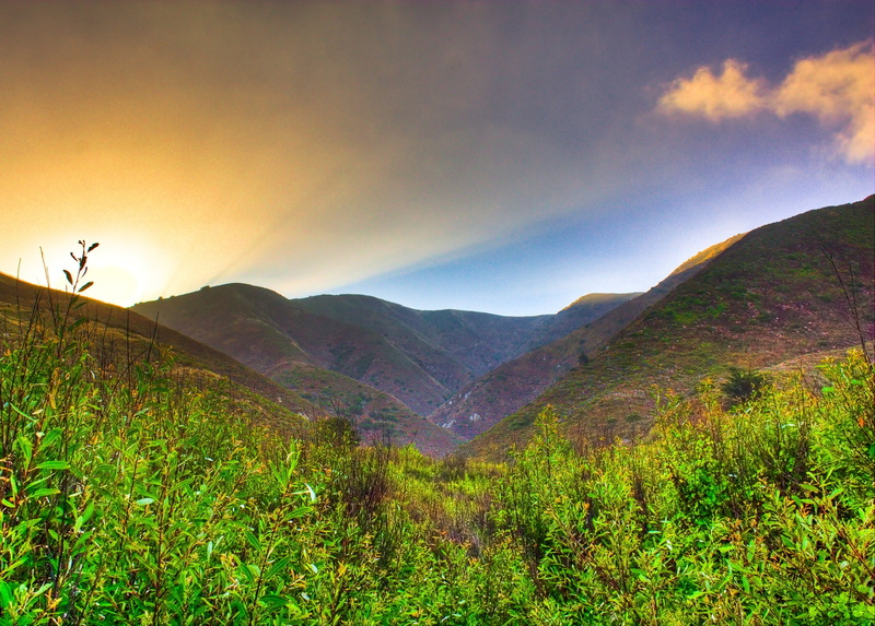 tree, Point, Big Sur, meadow, Serendipity, sky, sunrise - Dawn, aerial view, rural Scene, hill, morning, nature, view, HDR, plant, Santa Lucia Mountains