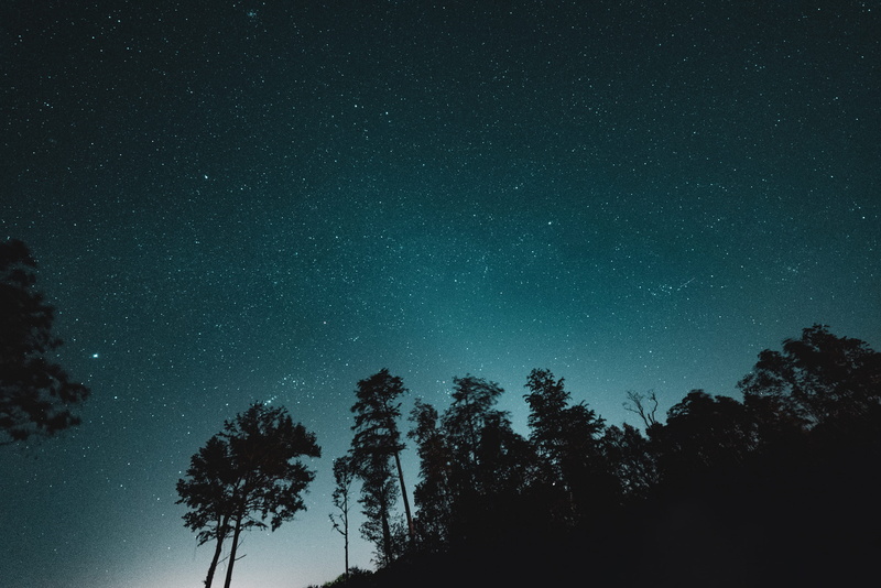 night glow, astronomy, evening, teal, way, nature, night, forest, trees, no people, star - space, night sky, tranquil scene, infinity, low light, astrophotography