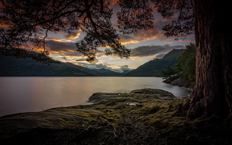 blackout, tree, clouds, night, dark, 2K, sky, lake, falling, landscape