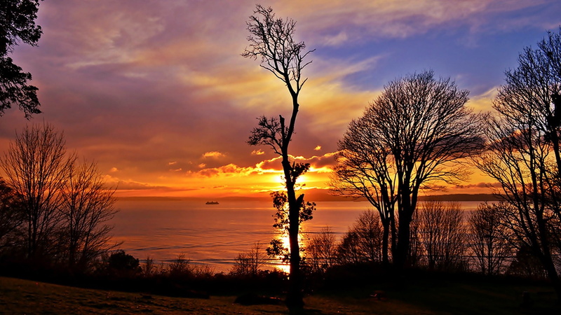 lake, 2K, sunset, trees, blackout