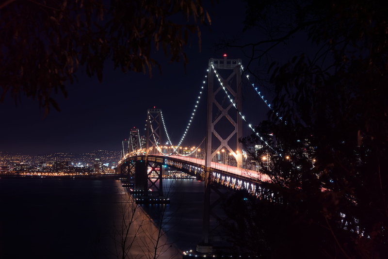travel destinations, water, West, Architecture, bridge, plant, light, nature, Bay Bridge, tree, Landscape, river, suspension bridge, San-Francisco, outdoors