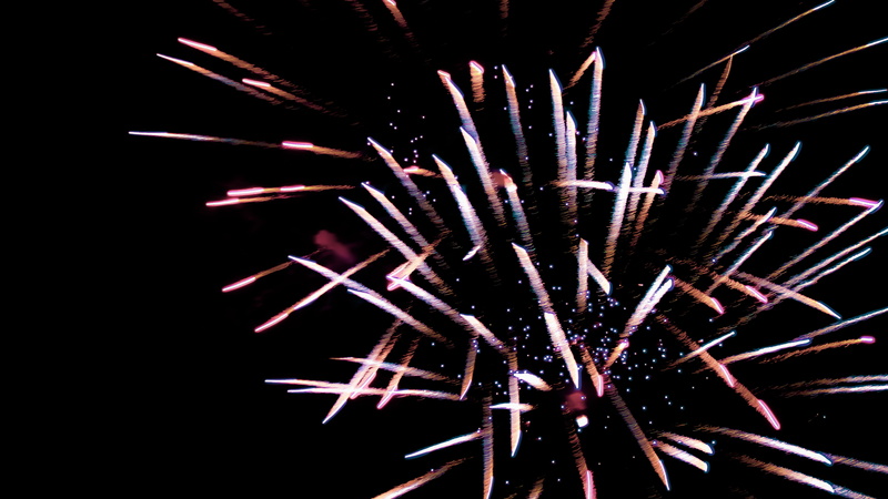 exploding, festival, black background, vegetation, close-up, sparks, 5K, firework display, fireworks, explosive, jungle, no people, night, glowing, land