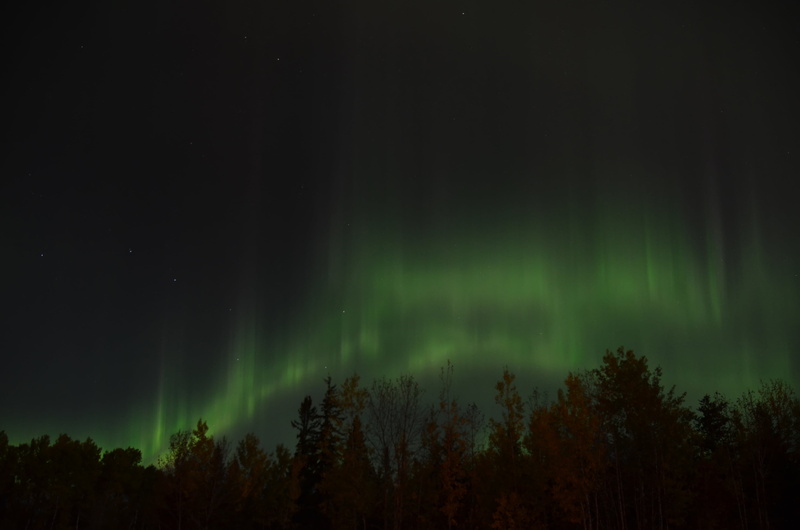 tree, no people, beauty in nature, winter, tranquil scene, scenics - nature, illuminated, aurora borealis, aurora, celestial, landscape, lights, phenomenon