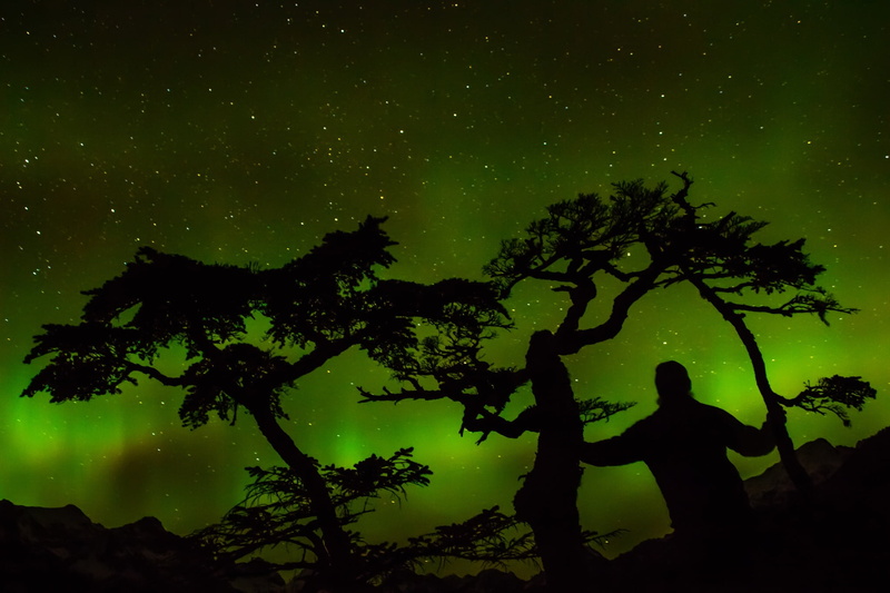 ionosphere, alaska, outdoors, nature, tree trunk, silhouette, close-up, aurora, real people, winter, phenomenon, landscape, magnetic, tranquil scene, dancing