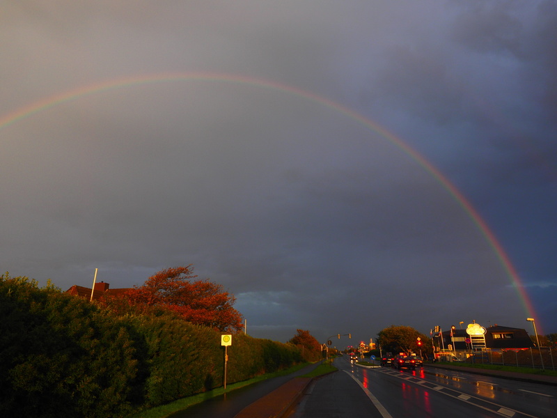 scenics - nature, natural spectacle, thunderstorm, rain, westerland, direction, transportation, cloud - sky, plant, colorful, cloudburst, double rainbow