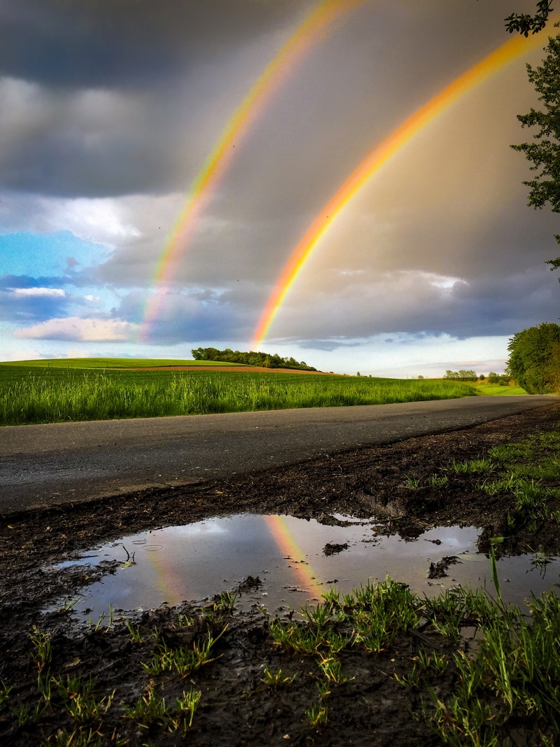 thunderstorm, scenics - nature, gewitterstimmung, water, multi colored, storm, beauty in nature, wheat, lighting, plant, mood, landscape, idyllic, sky