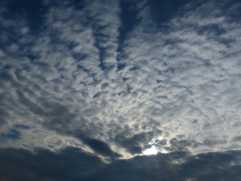 hidden, moody sky, storm, Sky, full frame, stratiformis altocumulus, outdoors, Clouds, Weather, idyllic, dramatic sky, no people, low angle view, Spectacle