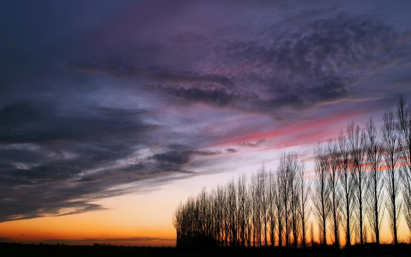 clouds, autumn, 3d and abstract, night, sunset, golden streak, sky, 1080P, moody, fall, poplars