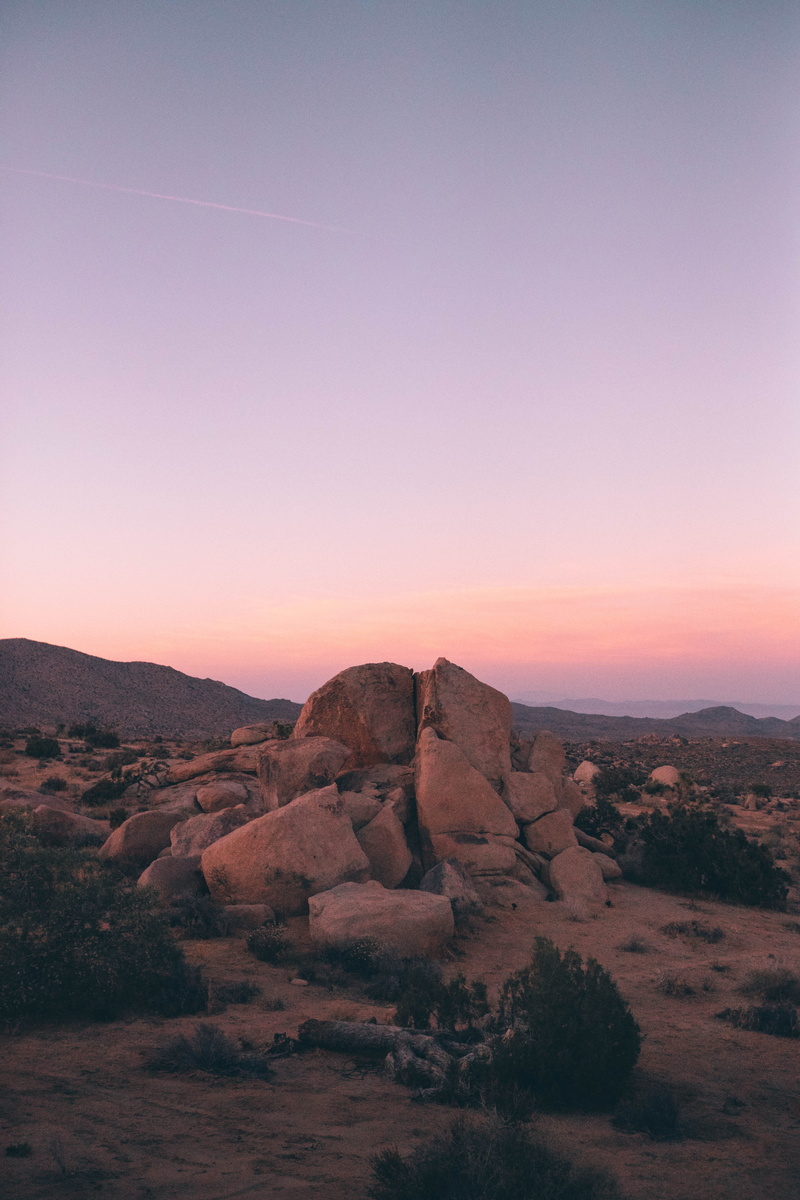 bush, landscape, nature, tranquility, sand, dusk, wasteland, rock - object, arid climate, sandstone, gradient, joshua tree, palm spring, desert, scenics - nature