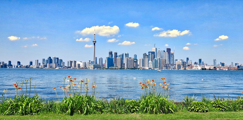 travel destinations, residential district, architecture, modern, bay, urban skyline, no people, the city centre, nature, toronto, skyscraper, built structure