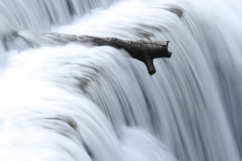 flowing Water, near, timelapse photography, stream, water, photography, timelapse, waterfalls, river, wood, 4K, Log In, long exposure, nature, log, Waterfall