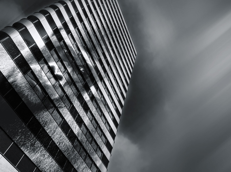 monkey, striped, city, lights show, figure, eyes, silver colored, vatican show, building, attention, concrete, outdoors, day, clouds, 1080P, no people
