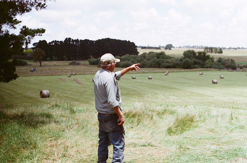 men, col, tree, 2K, standing, plant, green, land, fields, day, rural scene, landscape, pointing, distance, country, daytime, australium, farmer, nature