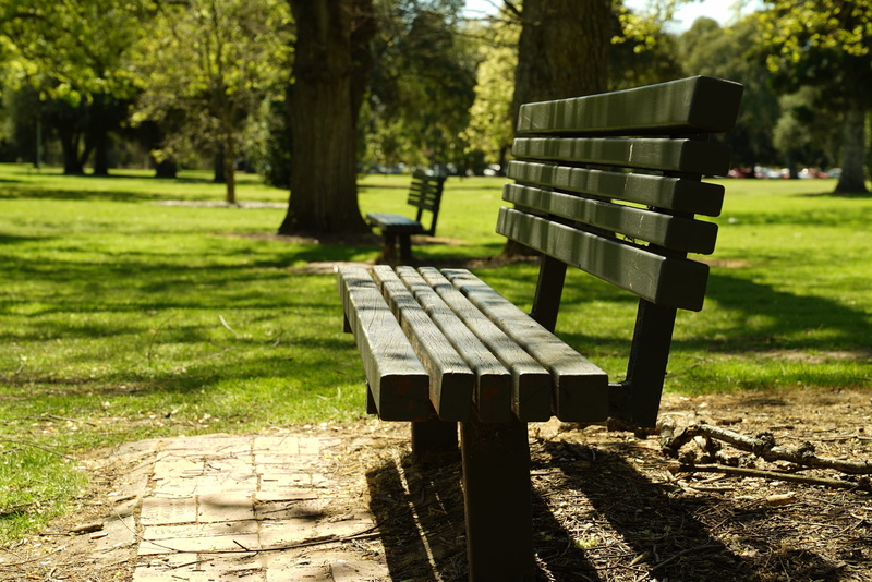 park, green color, tree, relax, adelaide, summer, trunk, no people, tree trunk, 4K, nature, park bench, seat, shadow, wood - material, plant, focus on foreground