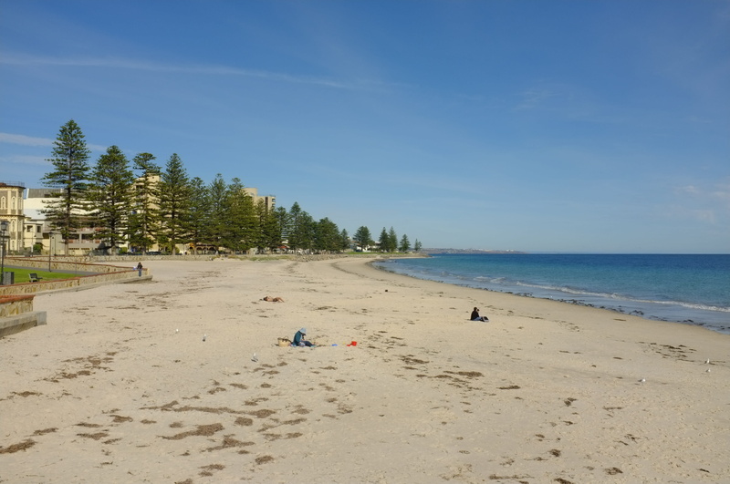 ocean, holiday, water, horizon over water, real people, australia, trip, blue, nature, glenelg, outdoors, sand, lifestyles, sea, day, men, trees, land